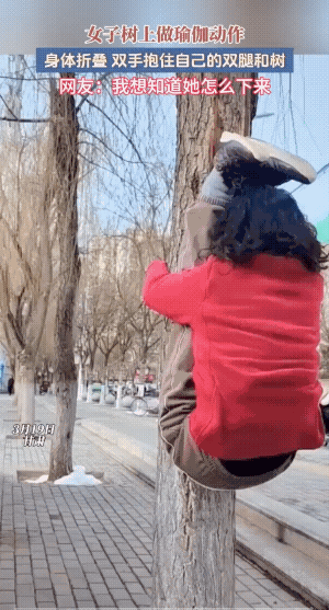 在家练不行吗，为何非要抱着大树练这姿势？练毅力吗？其实，不少人想知道她咋下来的