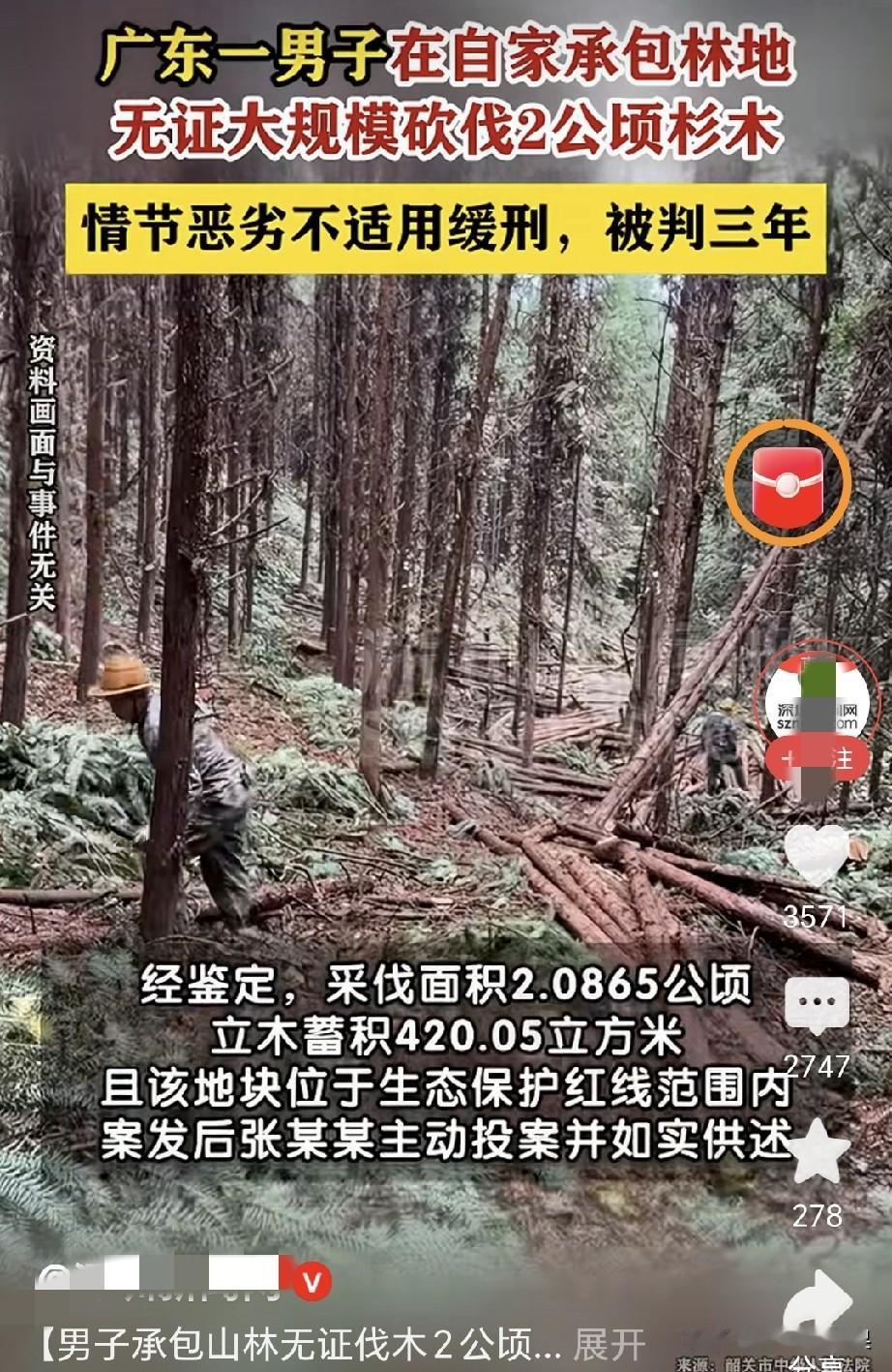 自己承包种植的树木为什么不能砍，这个谁能解释一下。重点是自己承包的林地，如果是