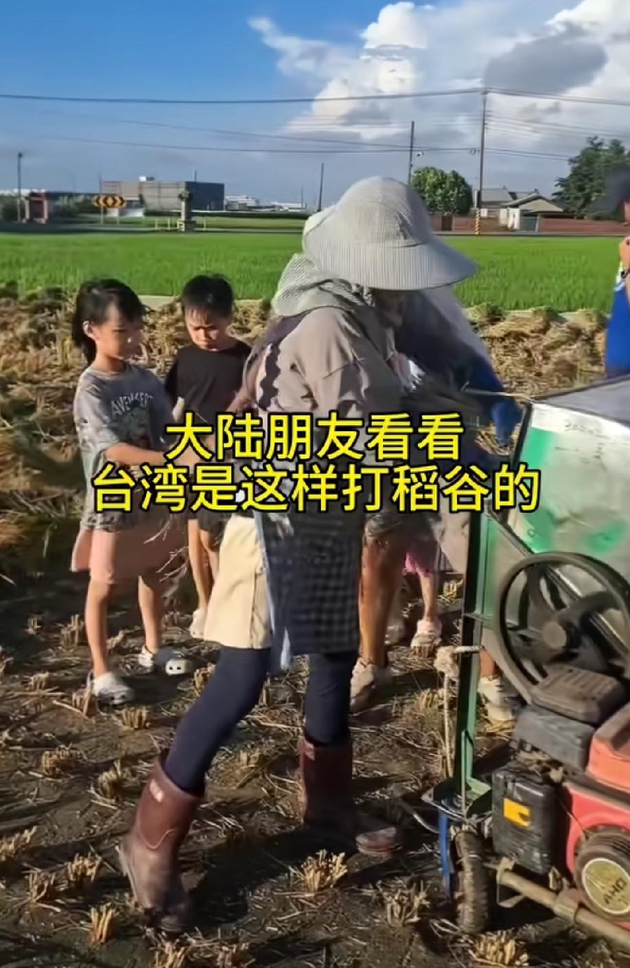 台湾网红博主分享的一段“他们那里收割水稻”的视频。让我们70后、80后瞬间回到了