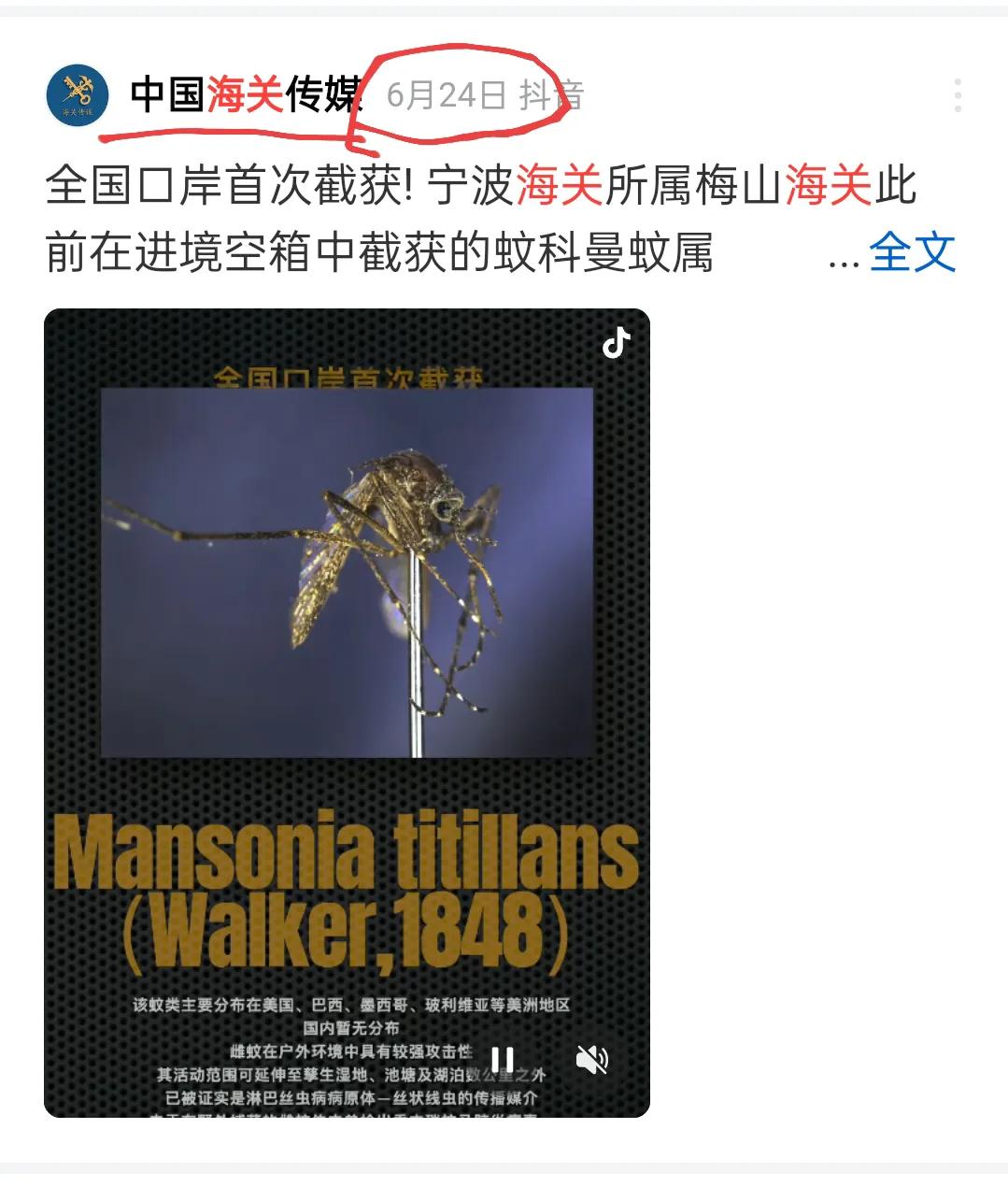 6月24日华东的宁波海关成功拦截入境蚊，华南的各个海关没什么消息，也就是没有成功
