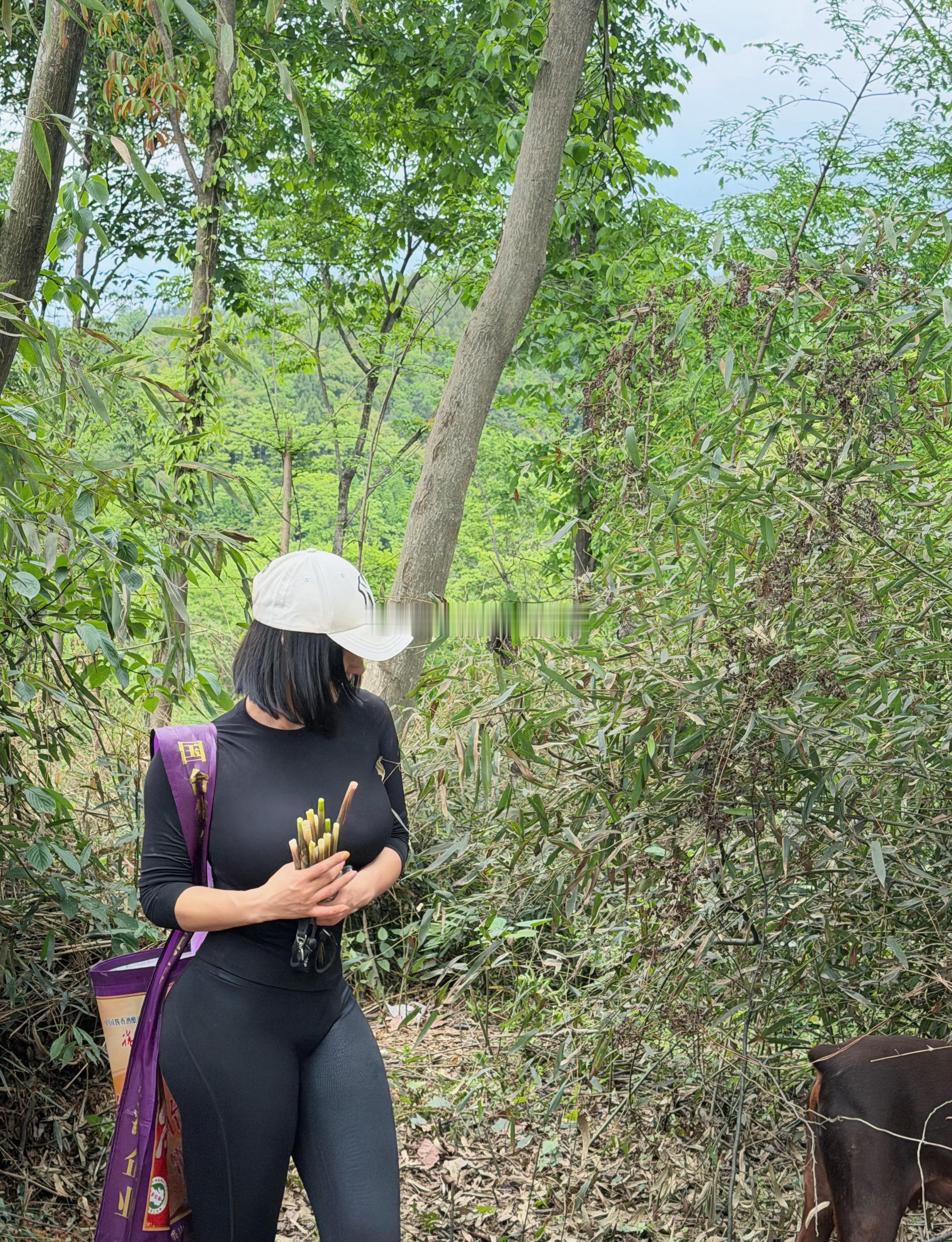 徒步喜欢大自然