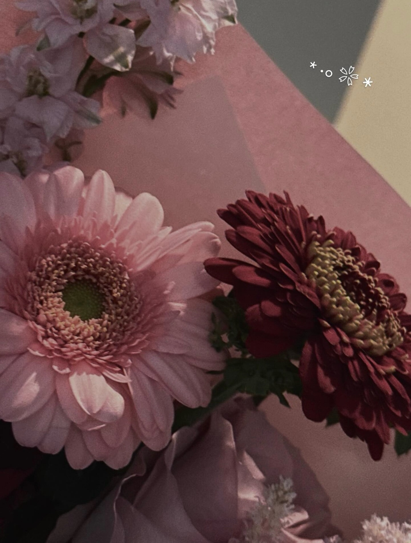 岩本蓮加「お仕事でいただいたお花。サイリウムカラーがとても綺麗」　れんかぐらむ