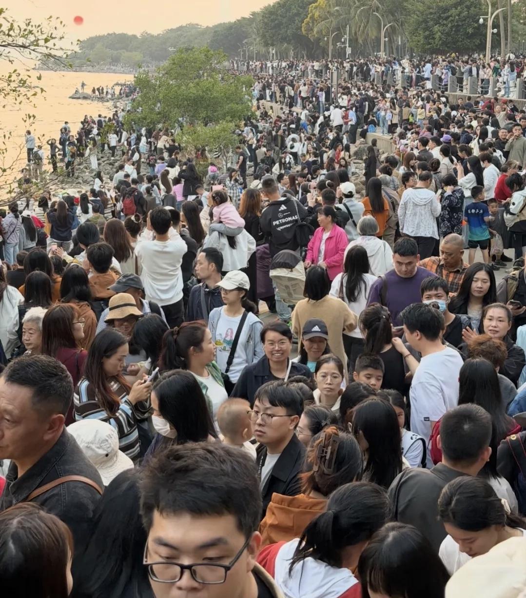 春运都没这么多人！！！深圳市民周末到深圳湾观候鸟，没想到自己成了候鸟[捂脸哭]