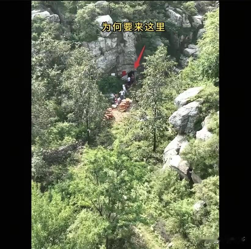 山里那伙人完全不经扒因为一扒你就会发现，他们不是什么可疑分子，而是村里请