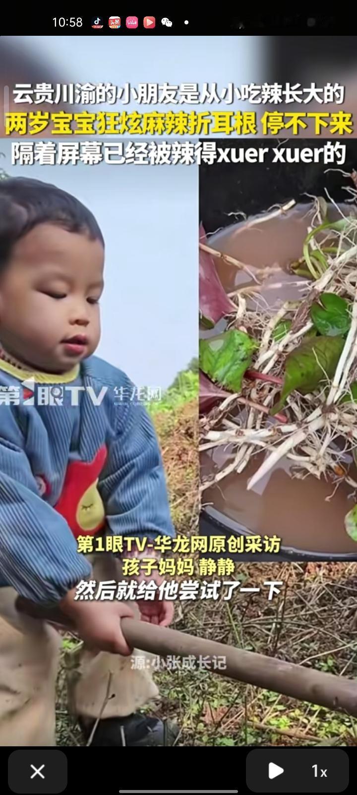 11月28日，重庆。女子晒视频表示，宝宝平时爱吃辣椒，就给他拌了折耳根给他吃，结