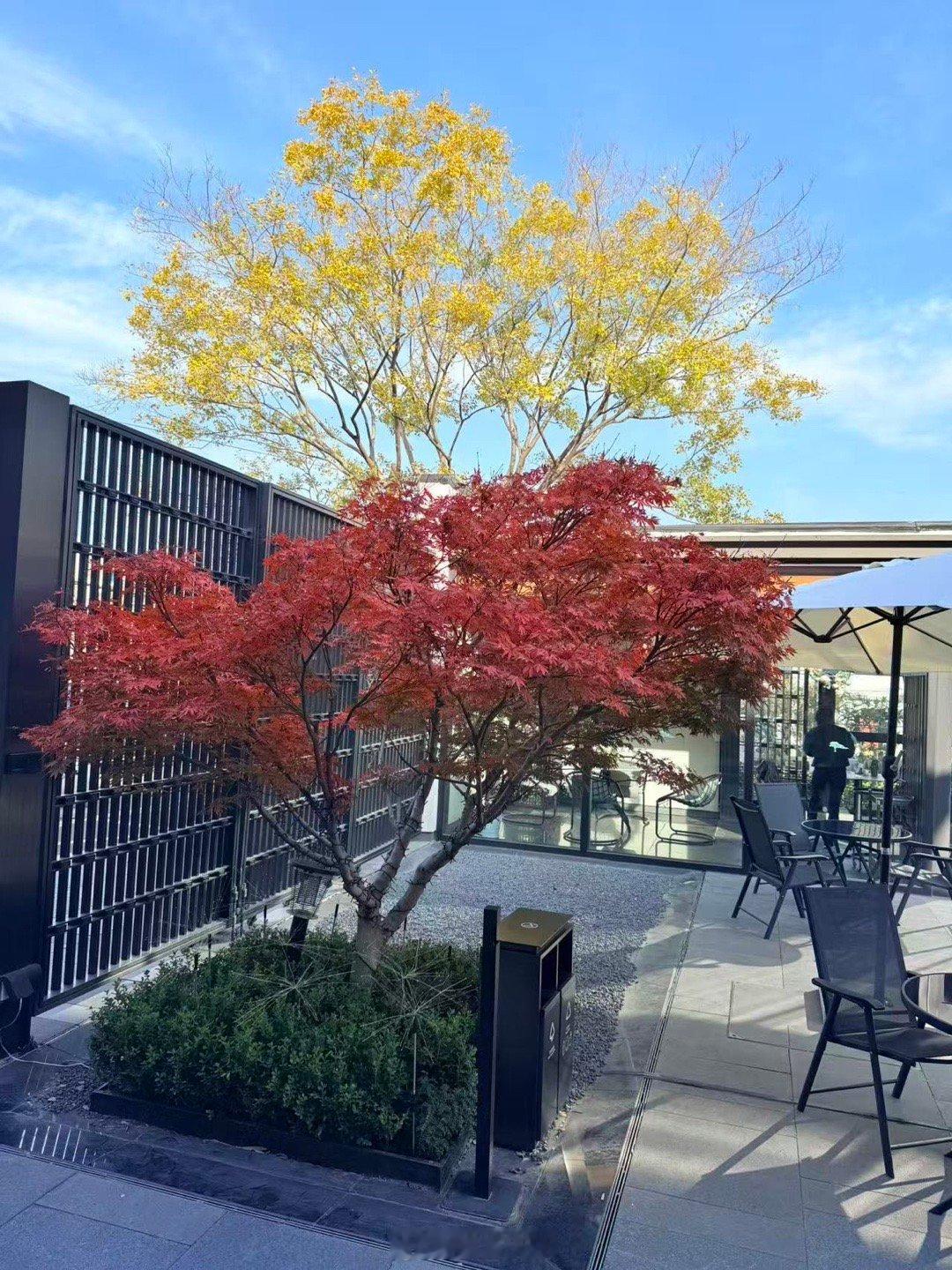 苏州金普敦竹辉酒店早餐2。