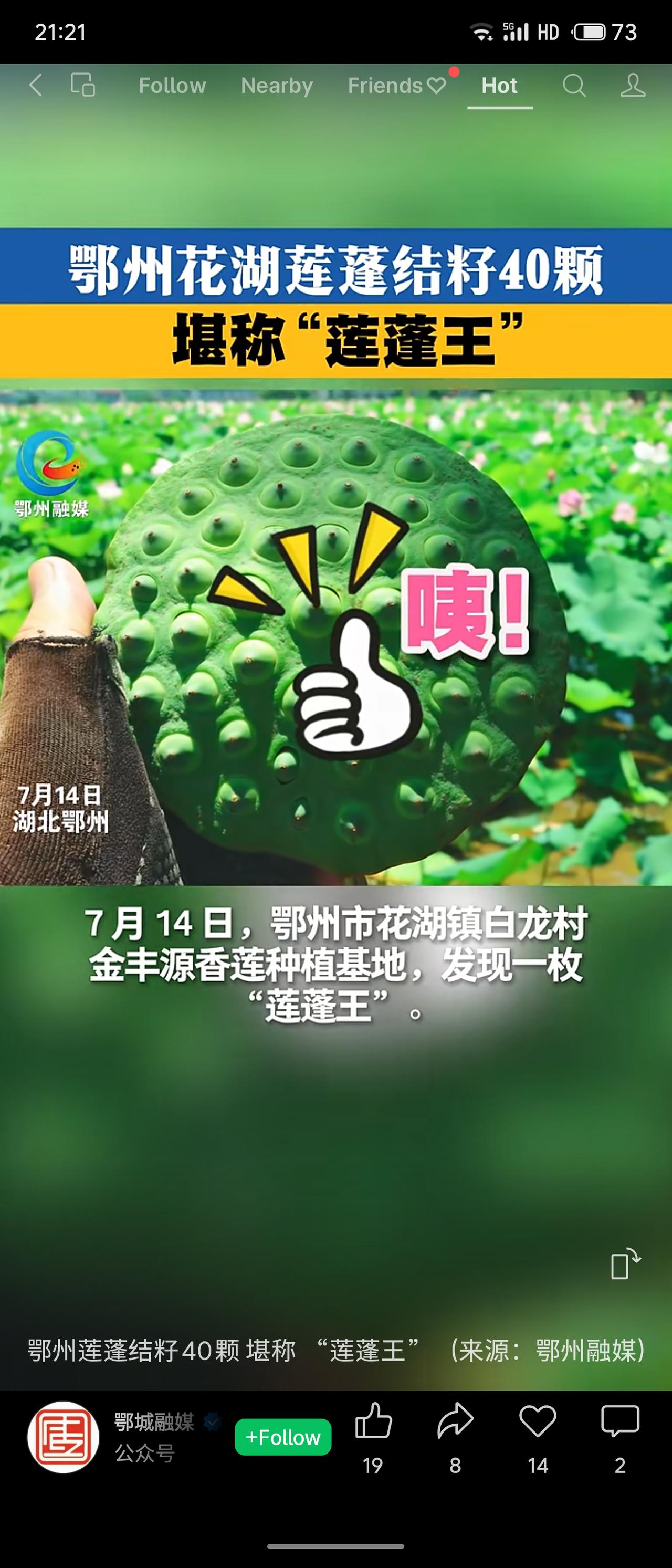 7月14日，湖北鄂州花湖镇白龙村发现一枚结籽40颗的莲蓬，远超普通20-30颗，