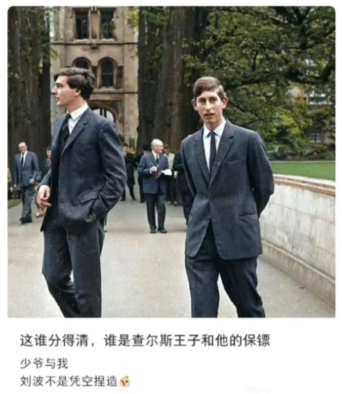 其实王子还是保镖挺一目了然的，因为保镖不会又瘦又该溜子站姿……但是保镖确实好看啊