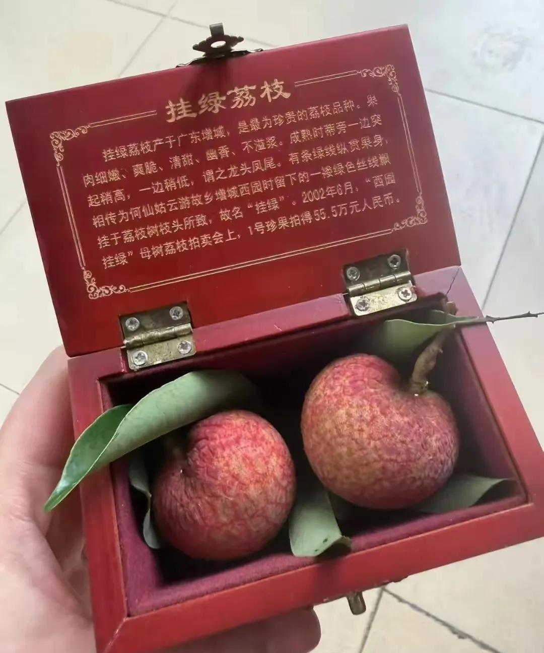 挂绿荔枝自从20多年前拍卖出55万一颗的天价后，开始名声大噪，名扬天下。所以一提