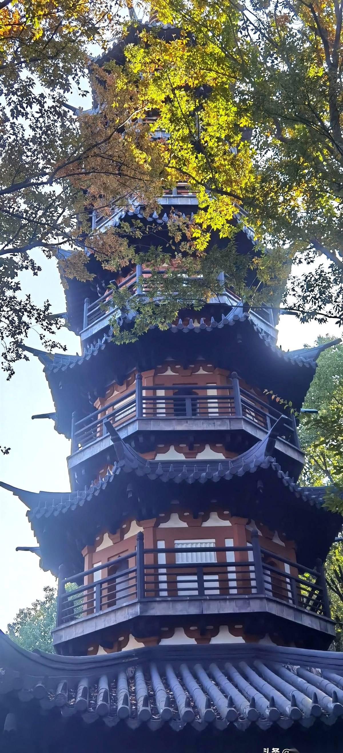 我跟你说，上海最“坑”的地方，不是哪个网红餐厅，是佘山。一个国家级的森林公园，