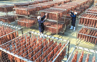 安徽黄山: 冬晒腊味正当时