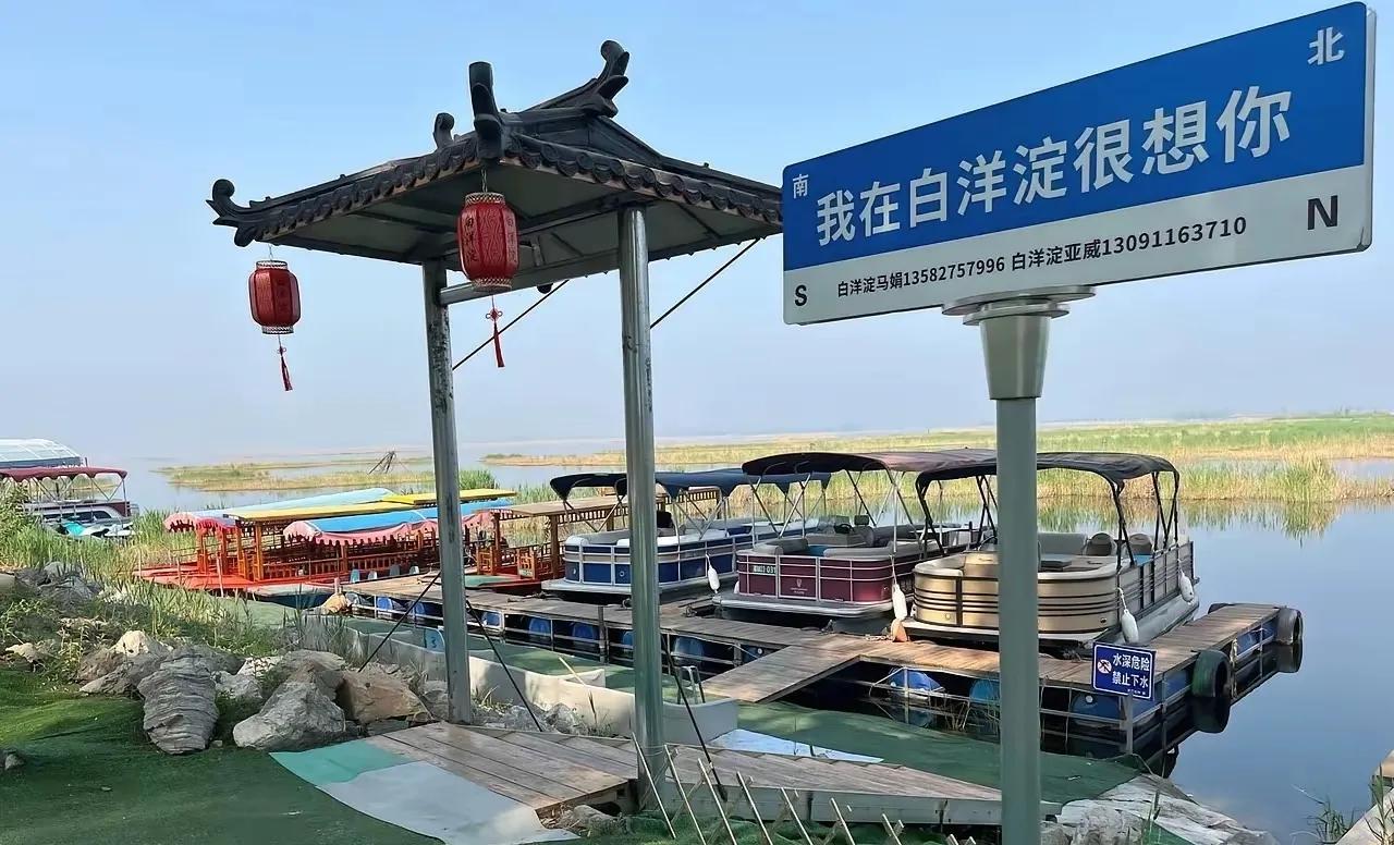 白洋淀算是完了，暑假档没钱赚了，估计当地文旅能气死，几个车胎断送了几十亿，