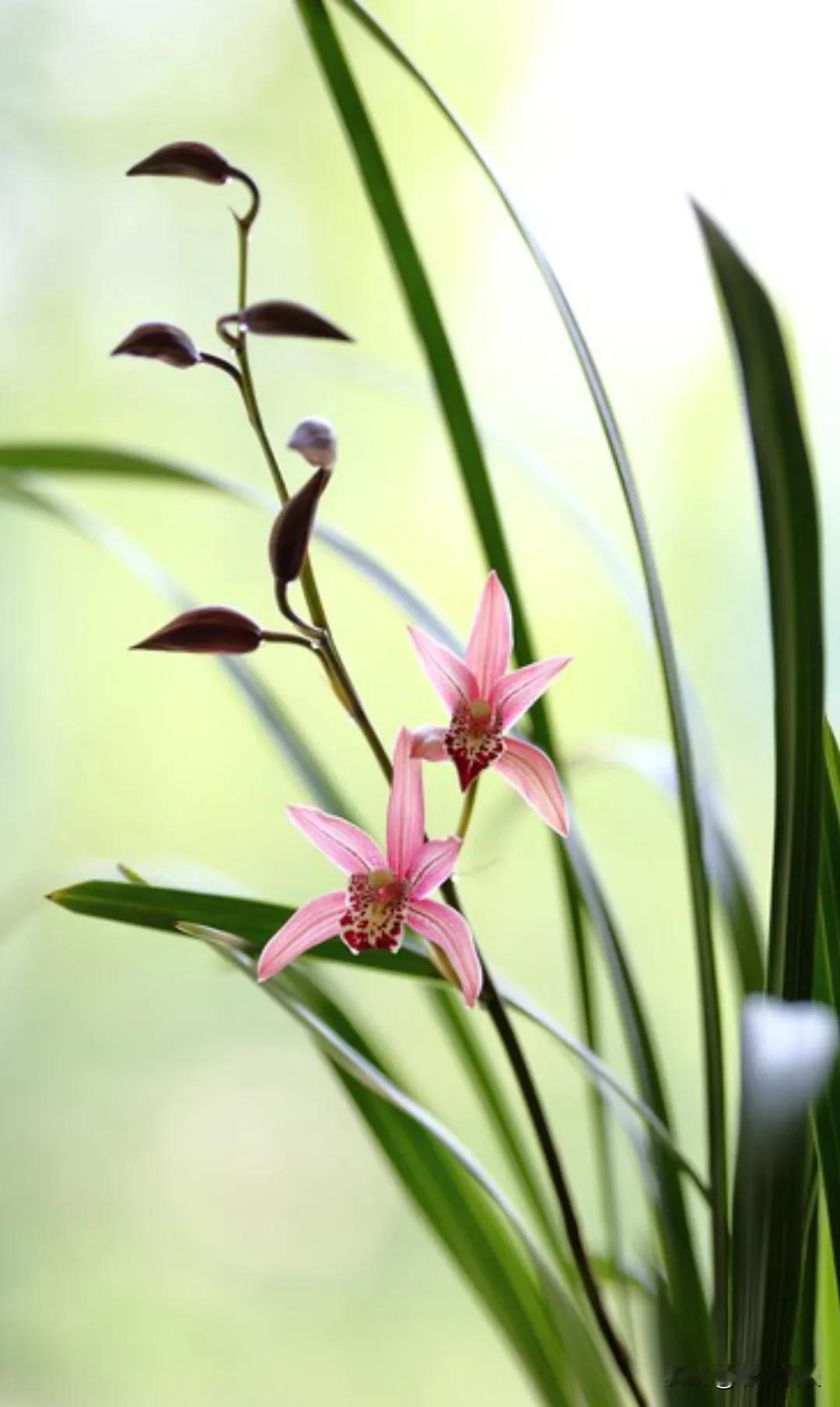 不管和谁相处都牢记这15条忠告1、借钱容易还钱难，不管谁向你借钱，都向他们