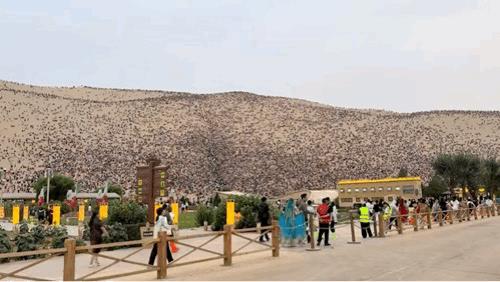不是都很穷吗？你们怎么还有这么多人去旅游[笑着哭]