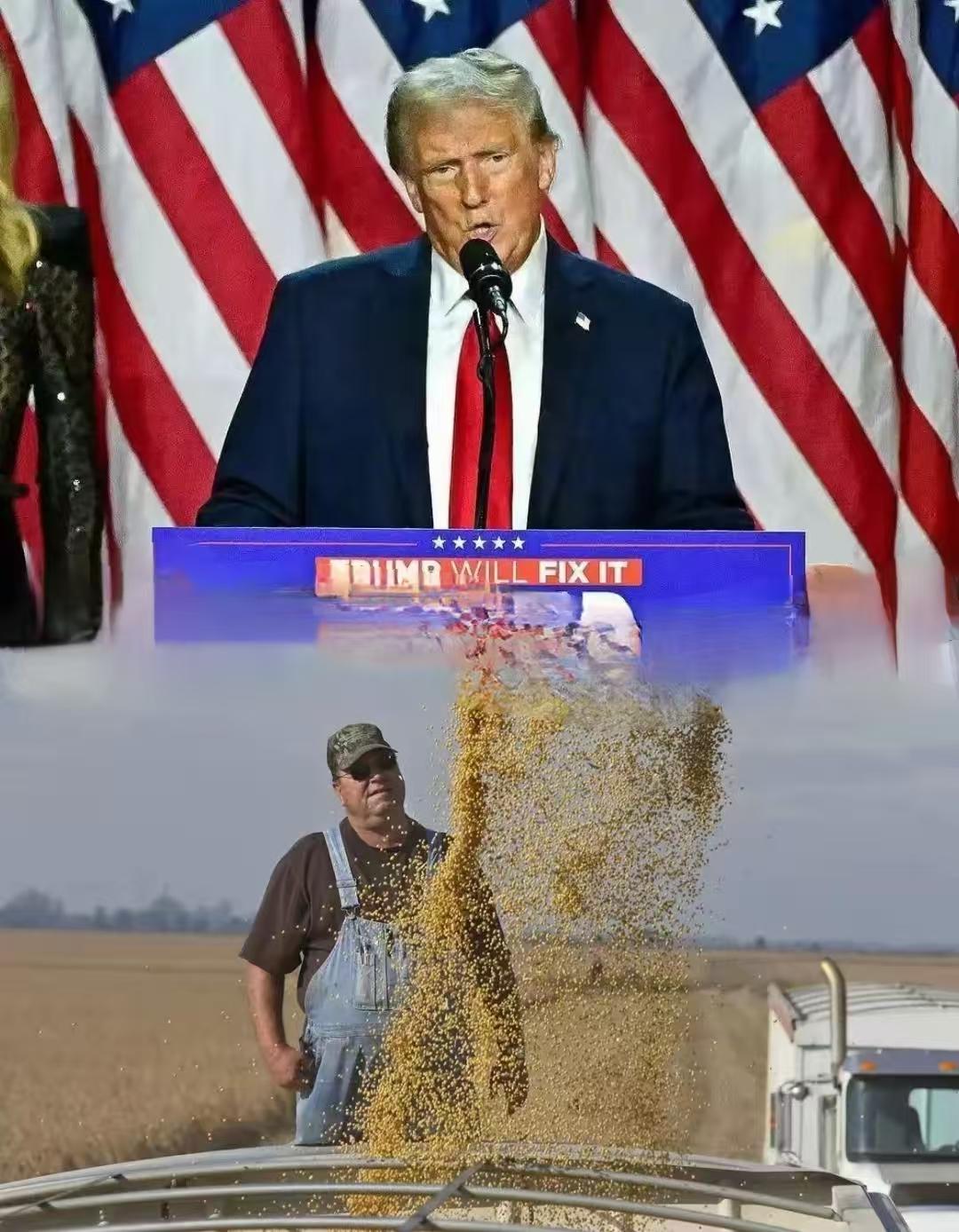 卖大豆啦！卖大豆了！特朗普又喊中国买大豆了，这次到底买不买？按正理，中美