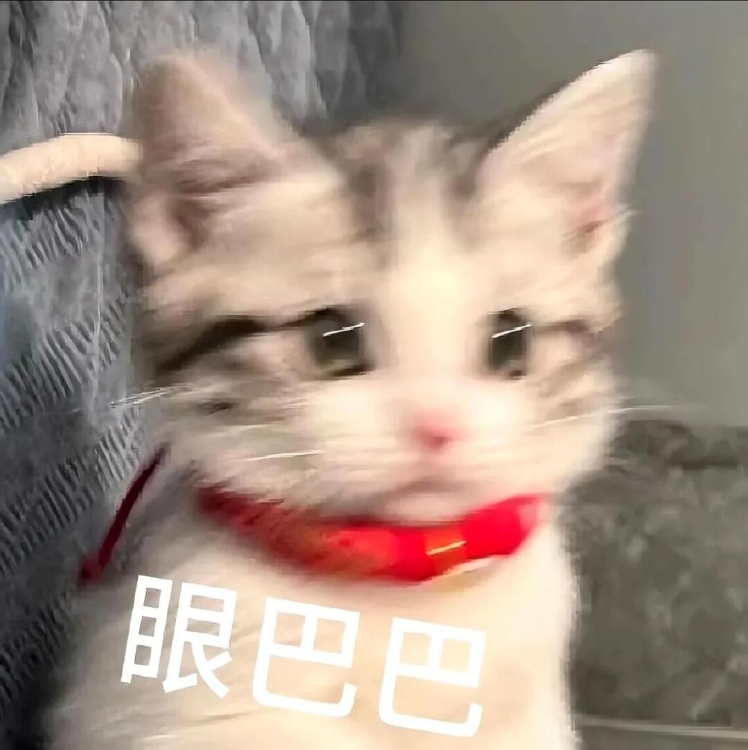 💛人人都要发原创💛蕾蕾在干嘛呢？呼吸也要说一声啊🥺田栩宁