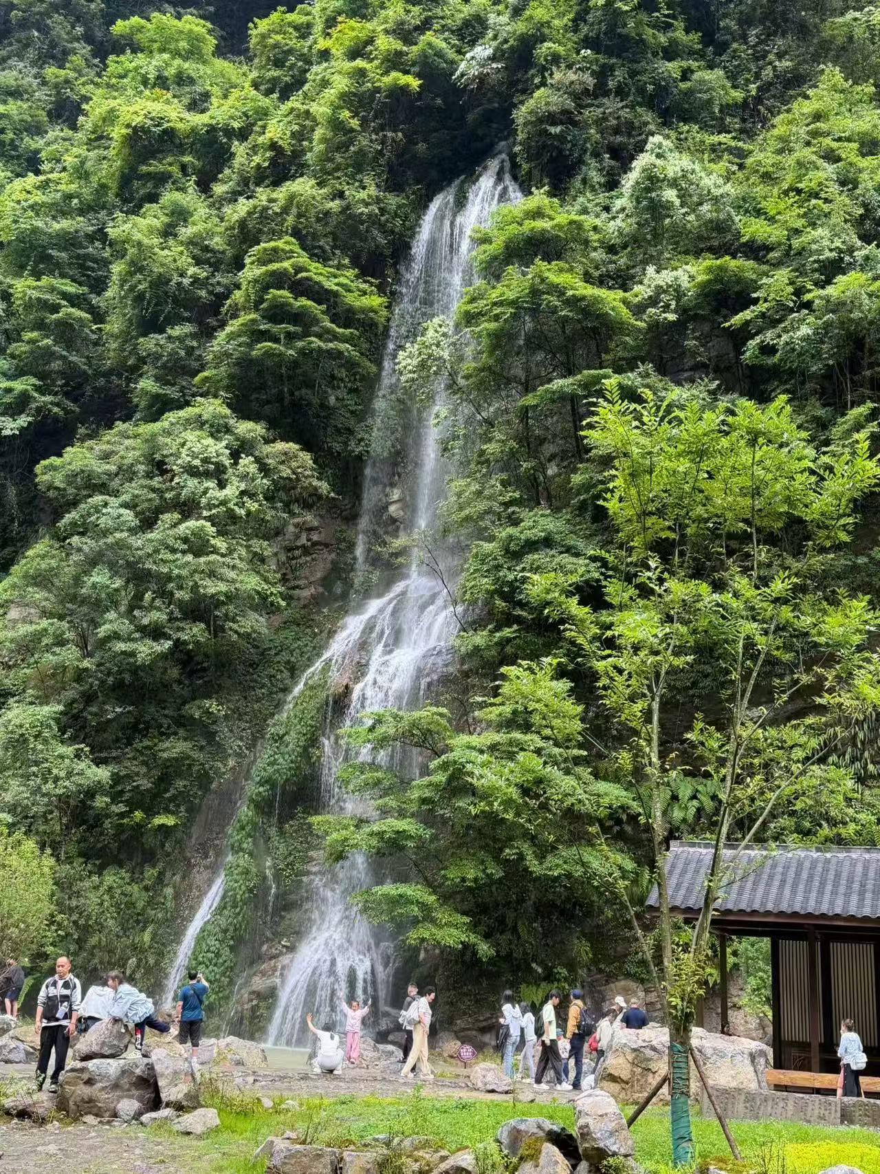 重庆旅游，武隆夏日美景攻略！📍重庆武隆区仙女山镇（所有核心景区集散中心）?