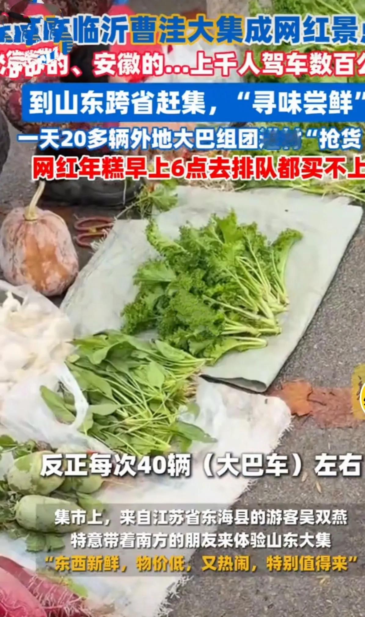 山东临沂曹洼大集成网红景点江苏的、安徽的...上千人驾车数百公里到山东跨