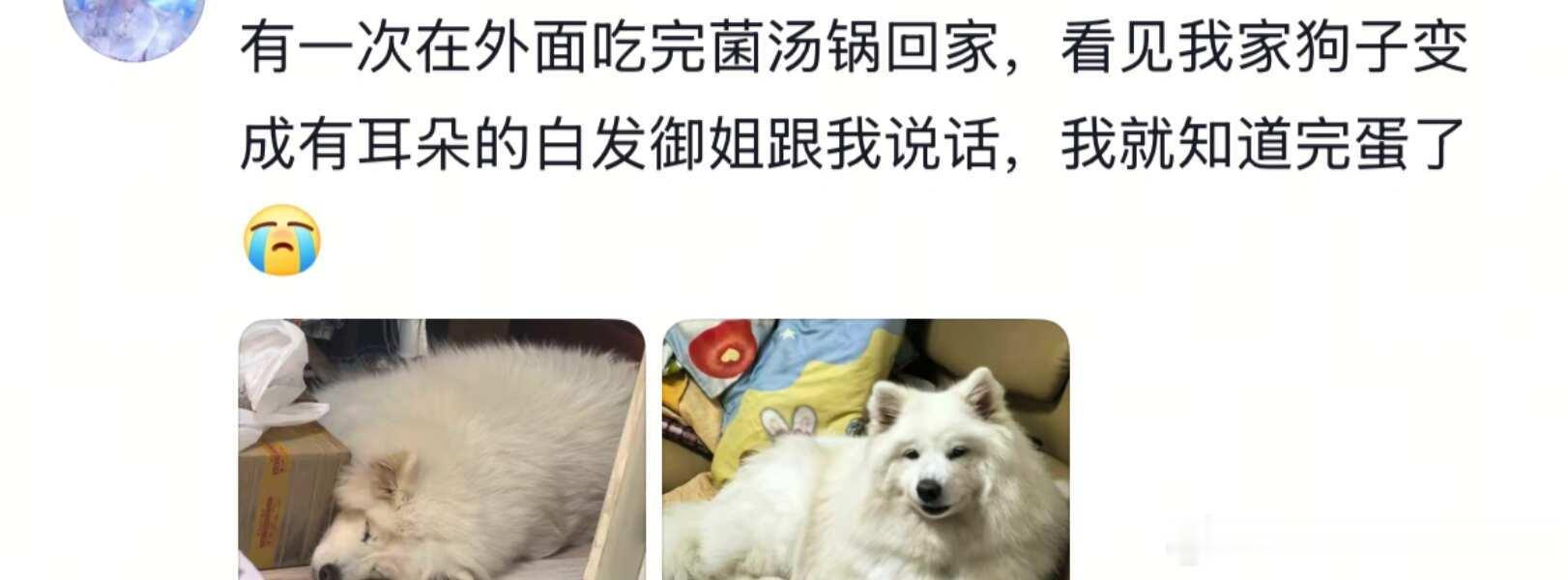 吃菌子中毒是一种什么样的体验哈哈哈哈哈哈