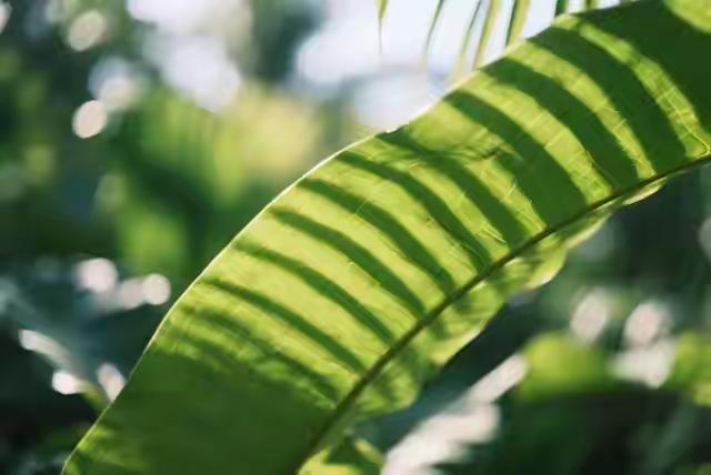 别不信！你家孩子接下来指定越来越顺，干啥都顺风顺水！这句话听起来像是在鼓励家长