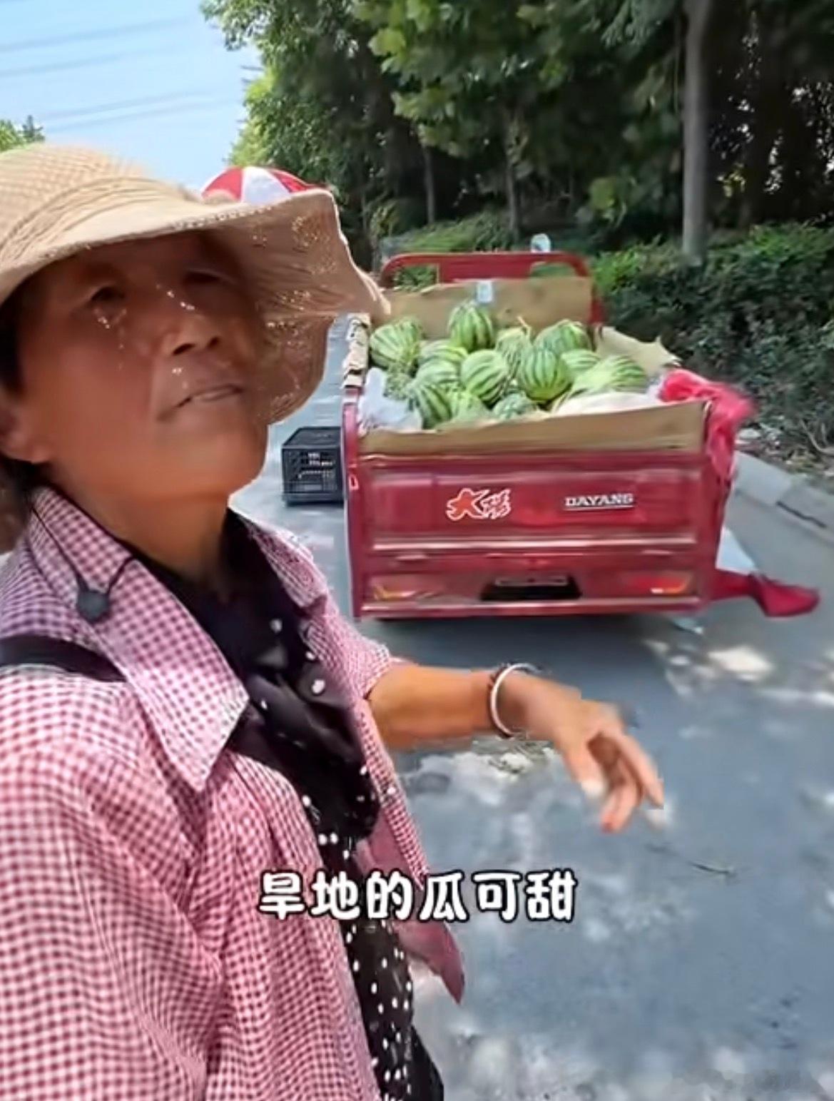 河南西瓜1400斤100元问了朋友说广西都没有这种价格的西瓜，真的震惊了一毛钱一