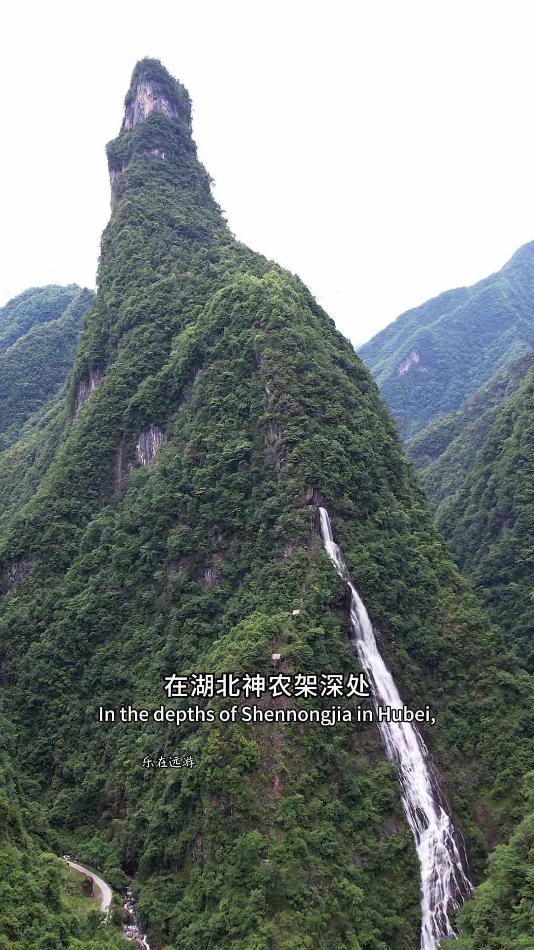 🌄在湖北神农架深处，无人机发现这不可思议的一幕。1️⃣在一座孤峰的半山腰处