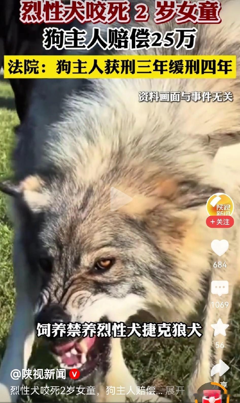 真是不忍直视！2岁幼童被恶犬咬伤离世，可到头来狗主人就判了个三年缓刑四年，这个