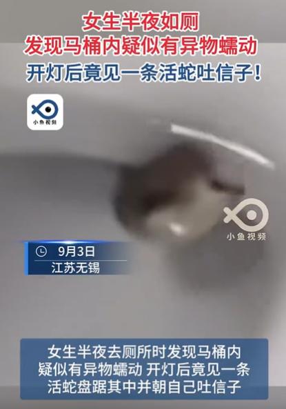 9月3日，江苏，女子半夜起床上厕所，不料，刚坐上马桶，就感觉下面有东西，