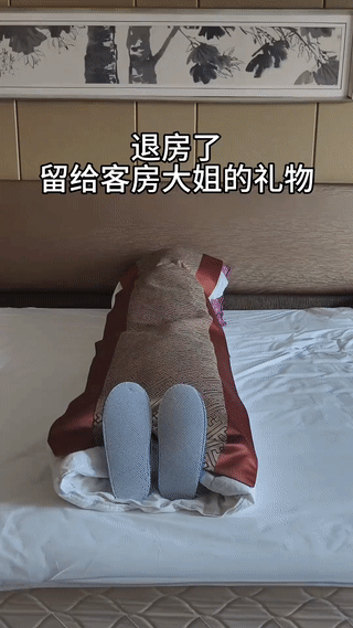 宾馆的保洁阿姨过来打扫房间卫生。结果刚进卧室就被摆在床上这一幕吓了一大跳！有