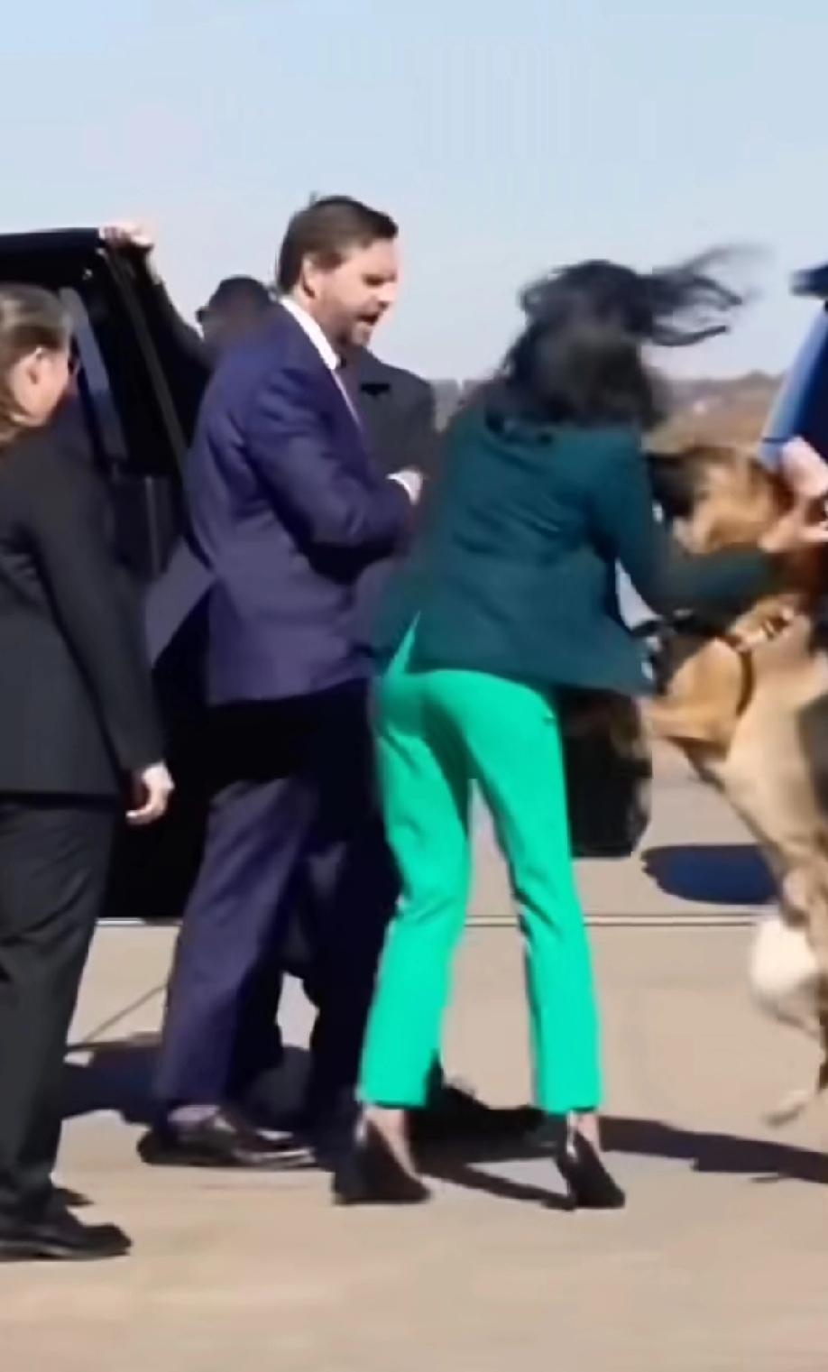 万斯和狗，和一个穿绿裤子的女人。