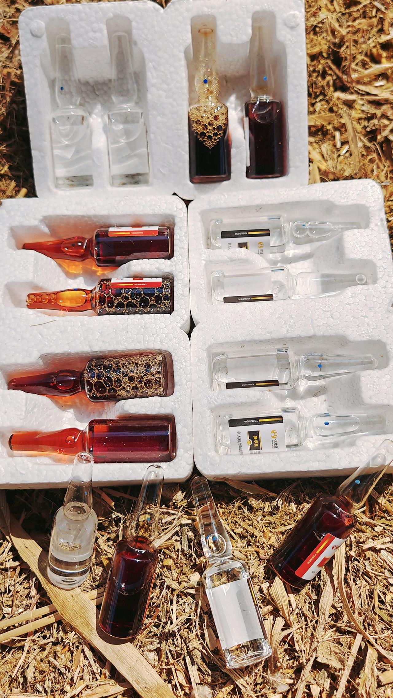 养羊人牛羊养殖