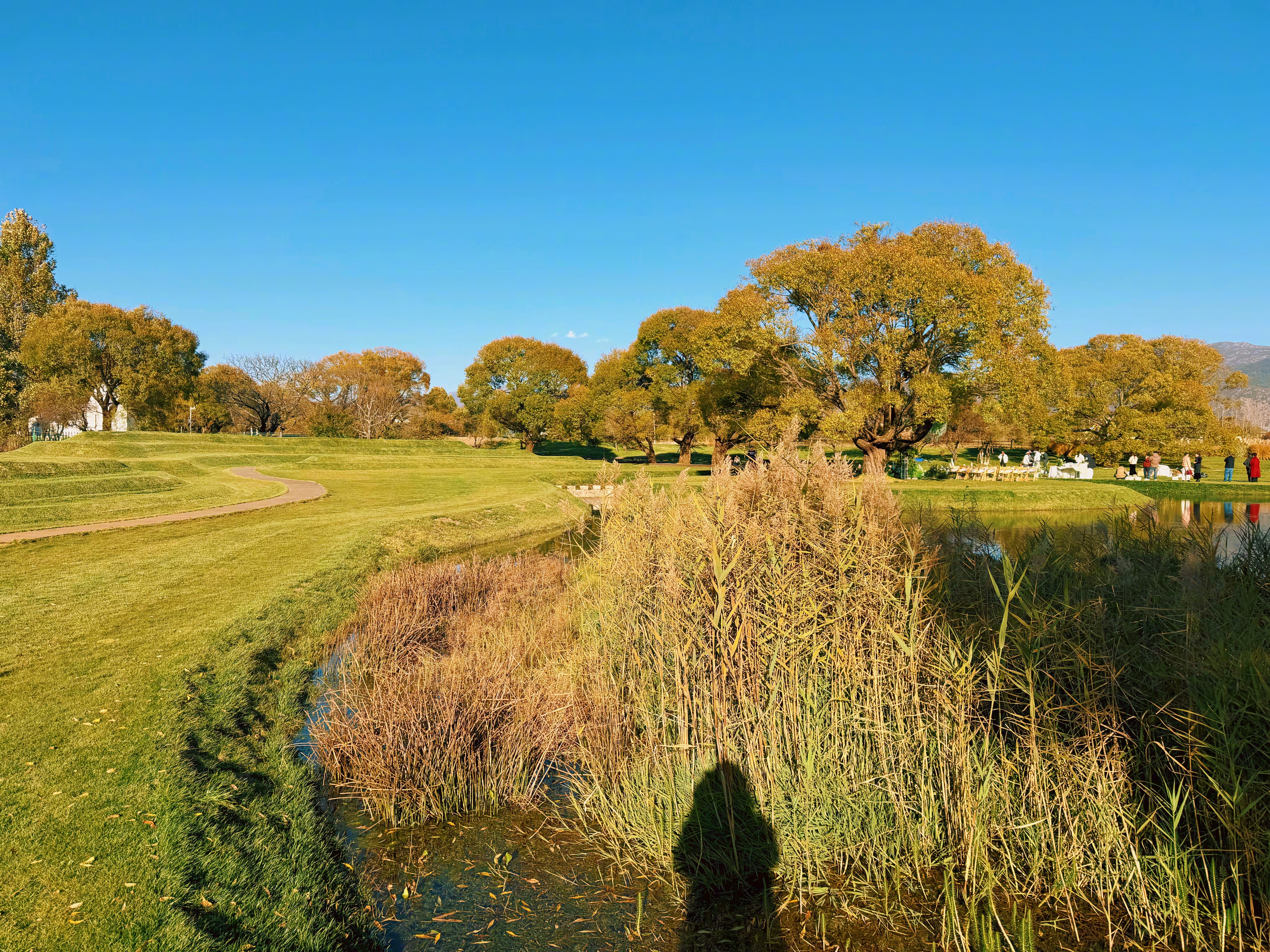 一个人一旦学会了经常观察自己，观察自己的感觉和感受，观察自己的言行，这已经是人开