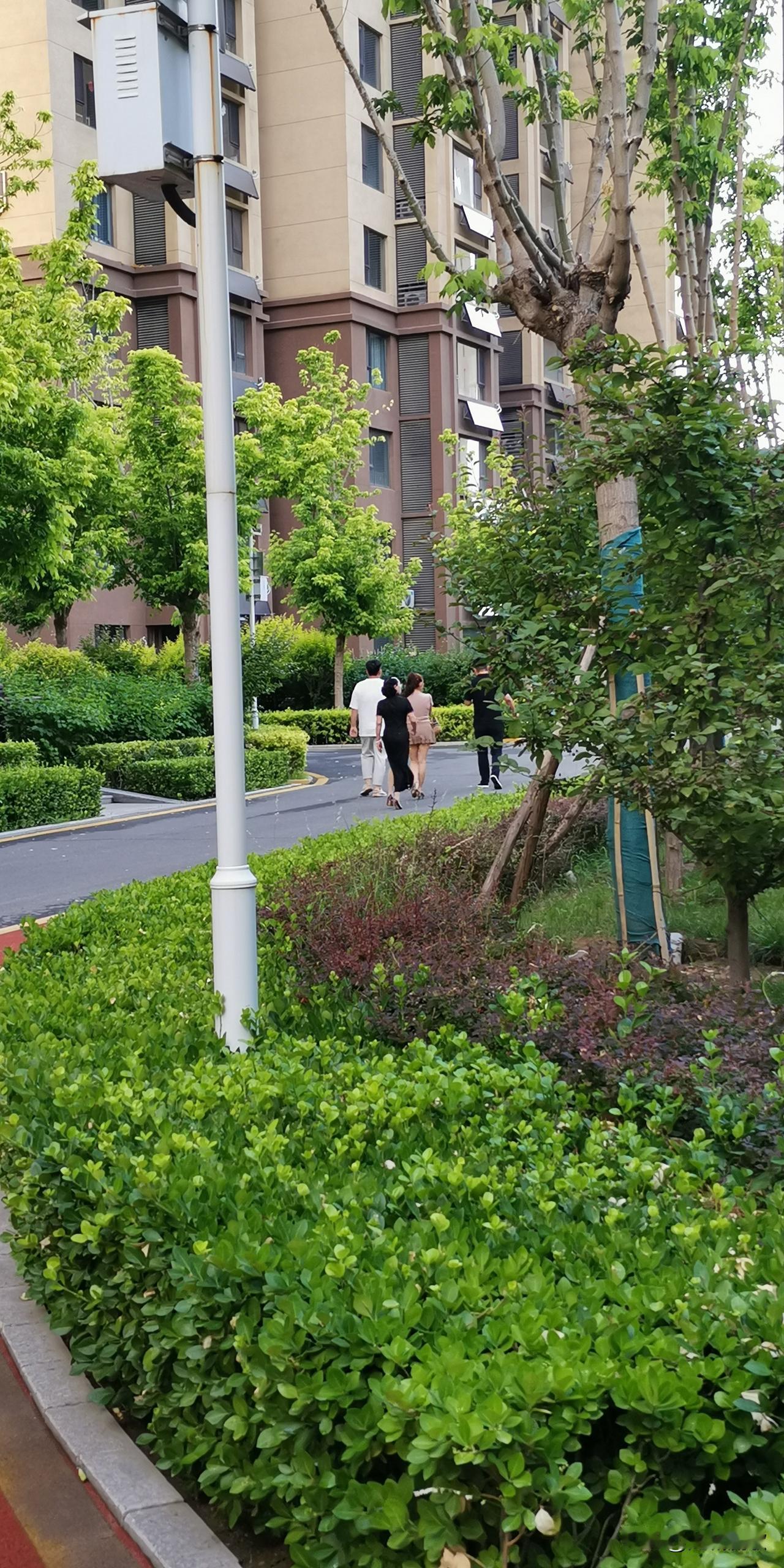 这小区上档次吧？外观不起眼，小区内楼栋、生活设施、公园绿化却非常别致有讲究！前