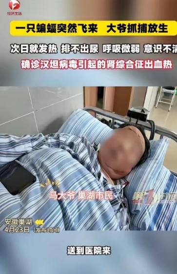 “悲剧还是发生了！”安徽巢湖，一大爷发现家里进了只蝙蝠，便伸手去抓，谁知，蝙蝠直