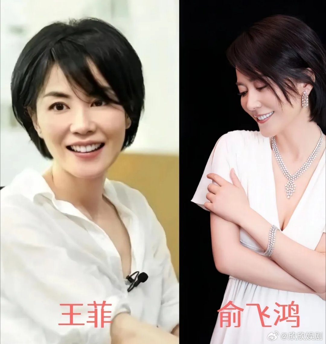 王菲这个人，有点儿玄学别人处不来的，她能成为朋友，那英，刘嘉玲，大张伟都是她好朋