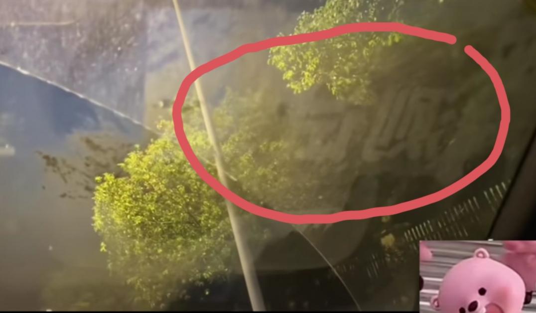 浙江，某粮车主又喜提“测试车”，这是我们知道的第二位喜提他家“测试车”的车主了吧