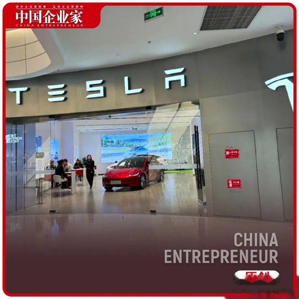 马斯克的命运之战, 还有5天揭晓答案