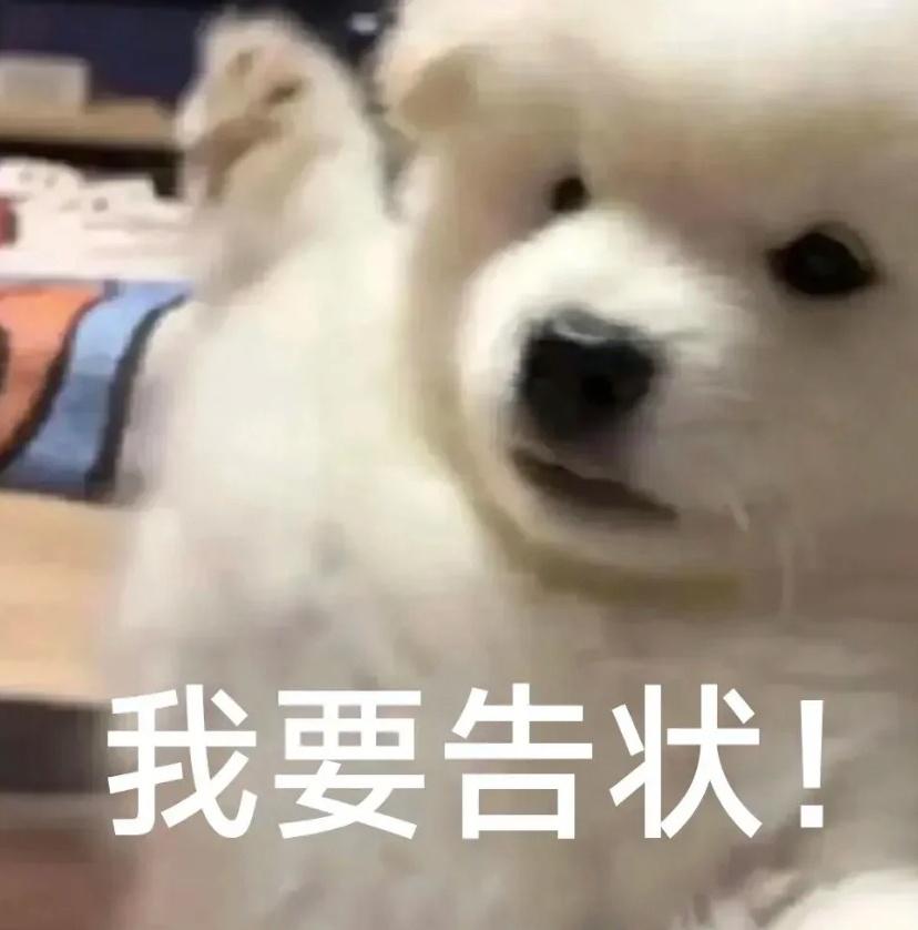 重点不是不是不穿衣服，是行为似犬，爬行，叼东西！是这对男女把他驯化成了犬类！