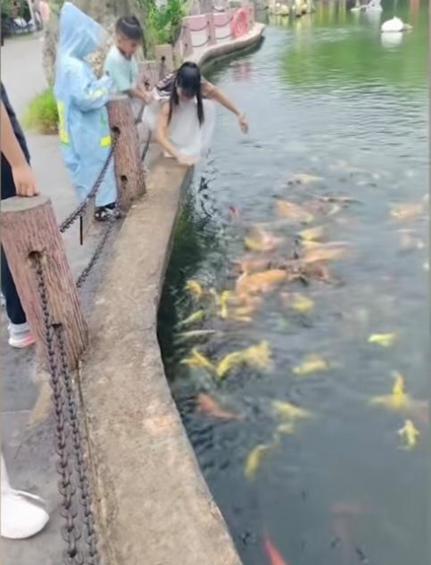 9月4号，亳州一女子带六岁的儿子到公园里去游玩，看到湖边水中聚集着许多红色和金色