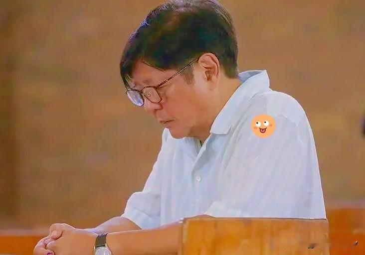 菲律宾政坛大地震！公造部前部长文诺安往证人席上一坐，嘴巴一张，直接把菲律宾参议