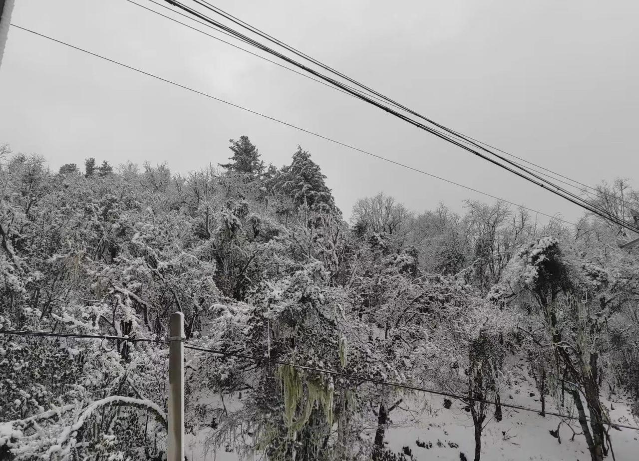 二月的兰州又下雪了！