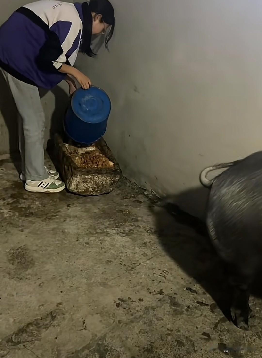 这波操作太绝了！贵州这位宝妈简直是育儿界的“营销鬼才”😂。孩子想要宠物，宝妈没