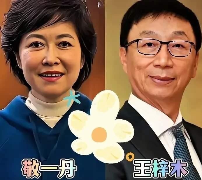 央视主持人敬一丹和王梓木、朱军和谭梅这两对夫妻，把夫妻相活成了知性与默契的同频。敬一丹是焦点访谈里沉