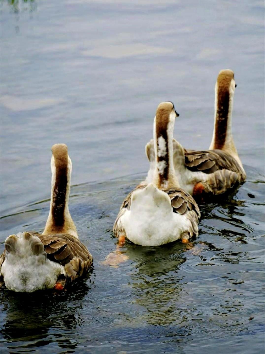 最让她生气的是，我曾经的一个朋友，她本来已经怀孕四个月了，48岁的婆婆要生二胎