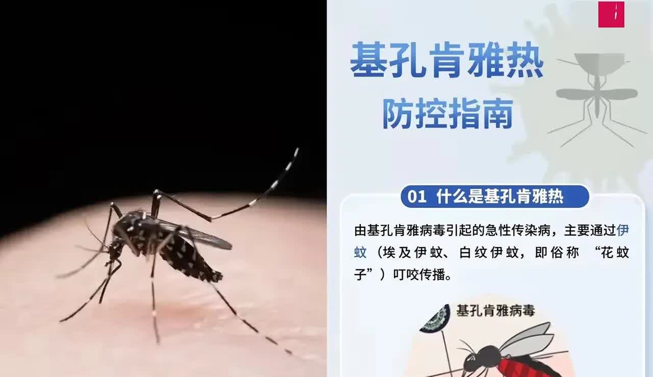 美国人应对中国的手段，现在已经接近丧心病狂了，中国一定要提高警惕。既要防止美国生