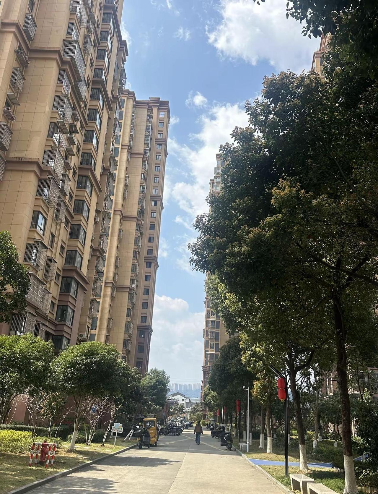 中午过夏天晚上过冬温州又到了一天乱穿衣服季节啦！忽热忽冷温州天气不算v