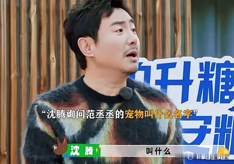 范丞丞和沈腾关系有多好，范丞丞在节目了说自己的宠物叫“腾腾”，如果关系不铁，真的