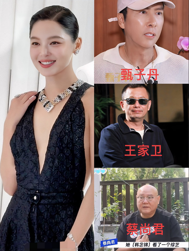 辛芷蕾能有今天的成就，离不开三位贵人的助力。第一位是甄子丹。2005年，辛