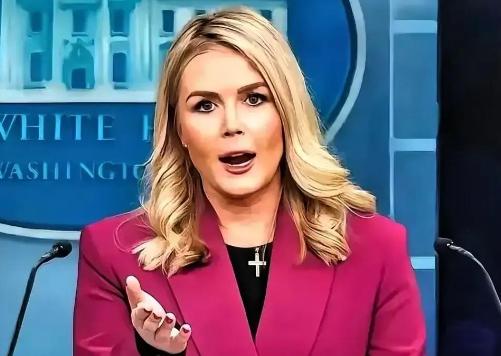 中日闹那么多天，躲在日本背后的第二条大鱼被我们钓了出来这条大鱼不是别的，正是