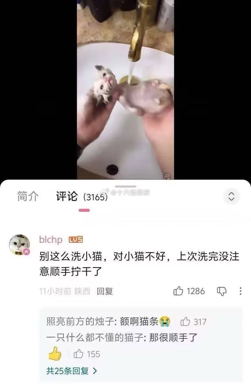 这样对小猫不好